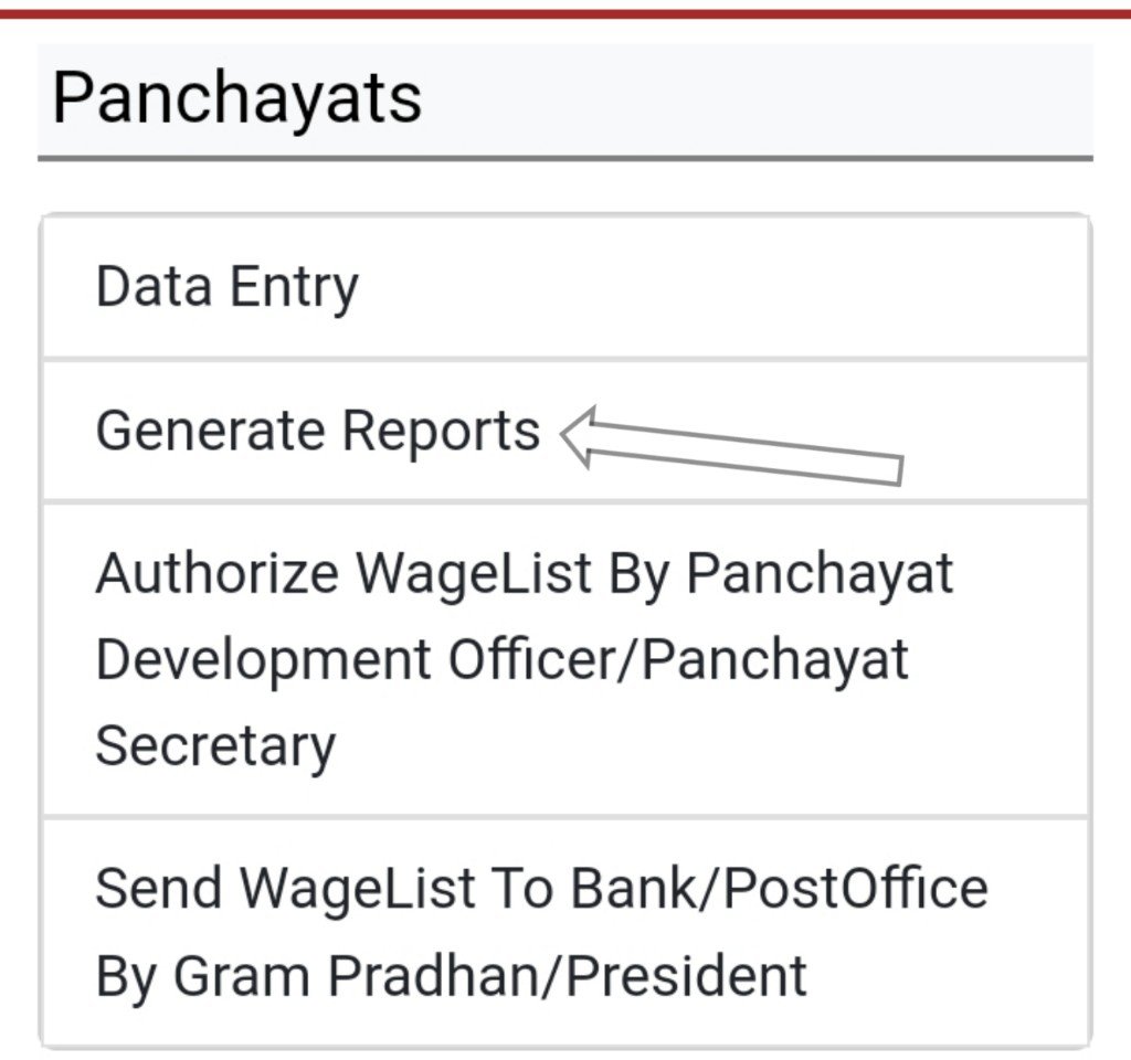 Generate reports 