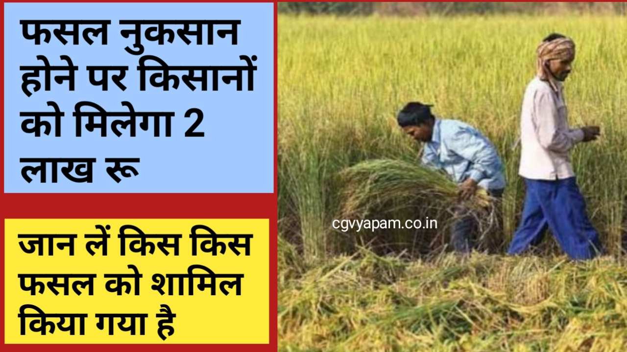 Farmers will be given 2 lakh rupees in case of crop loss, know the benefits of crop insurance scheme