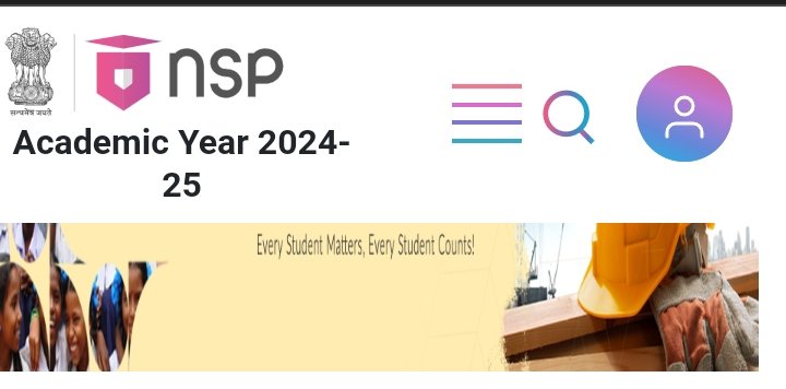 nsp academic year 2024