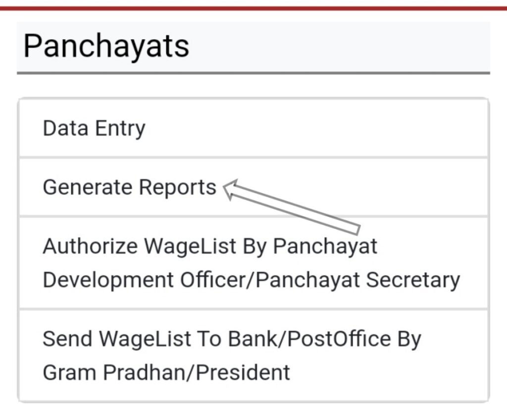 generate reports 